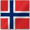 Norjan kielen käännöspalvelu